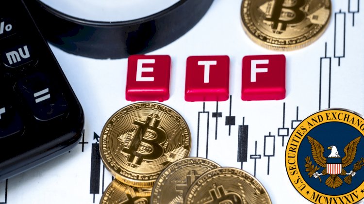 We Bring You The Reasons Why There Is Still Be Hope For The VanEck Bitcoin ETF