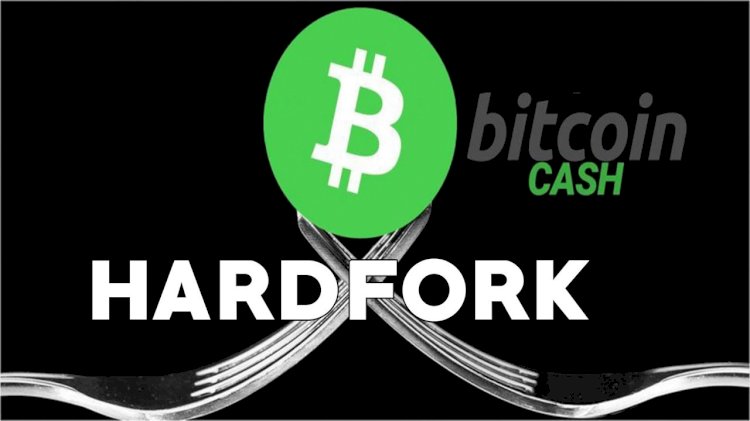 According To Hash Watch: For Upcoming Fork, Bitcoin Cash Services Reveal Contingency Plans 